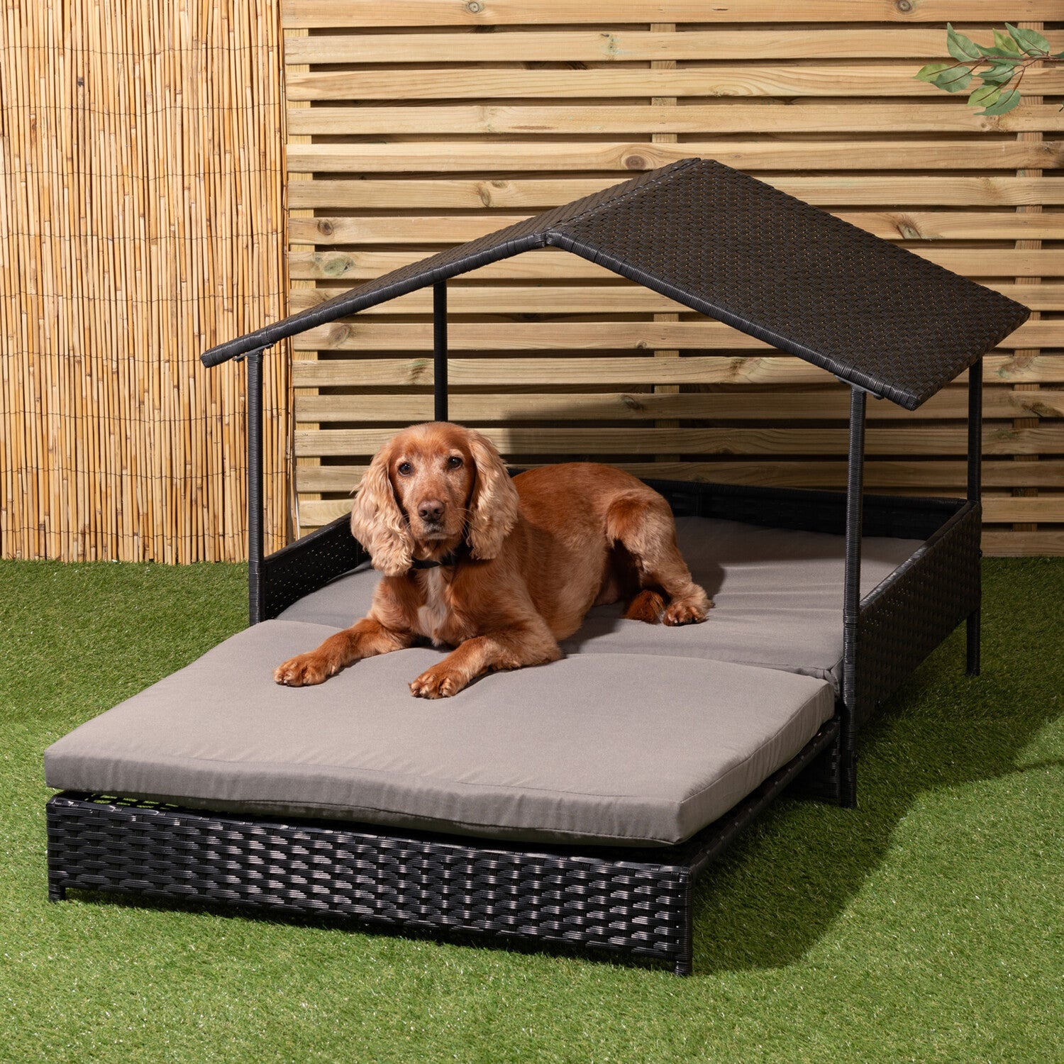 Extendable Canopy Pet Bed - Grey