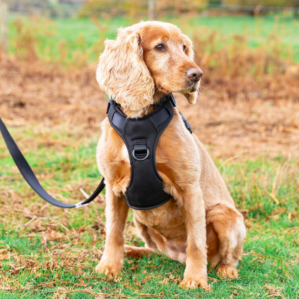 Durable Ultra Soft Harness